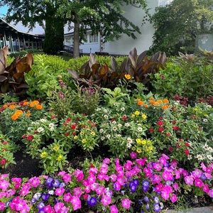 Meet your Posher, Alaina